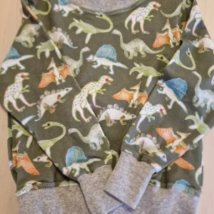 Dinosaur genser