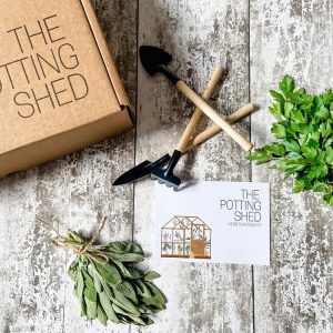DIY Kit –  Dyrk Dine Egne Urter