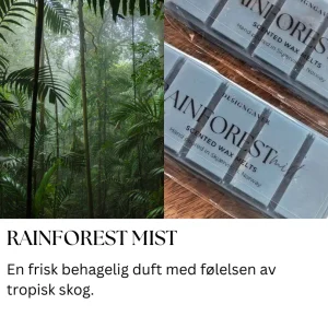 Rainforest mist - Duftvoks med duft av bambus og tropisk skog