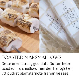 Toasted marsmallows - Duftvoks